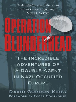 cover image of Operation Blunderhead